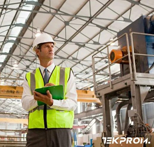 TEKPROM field inspection